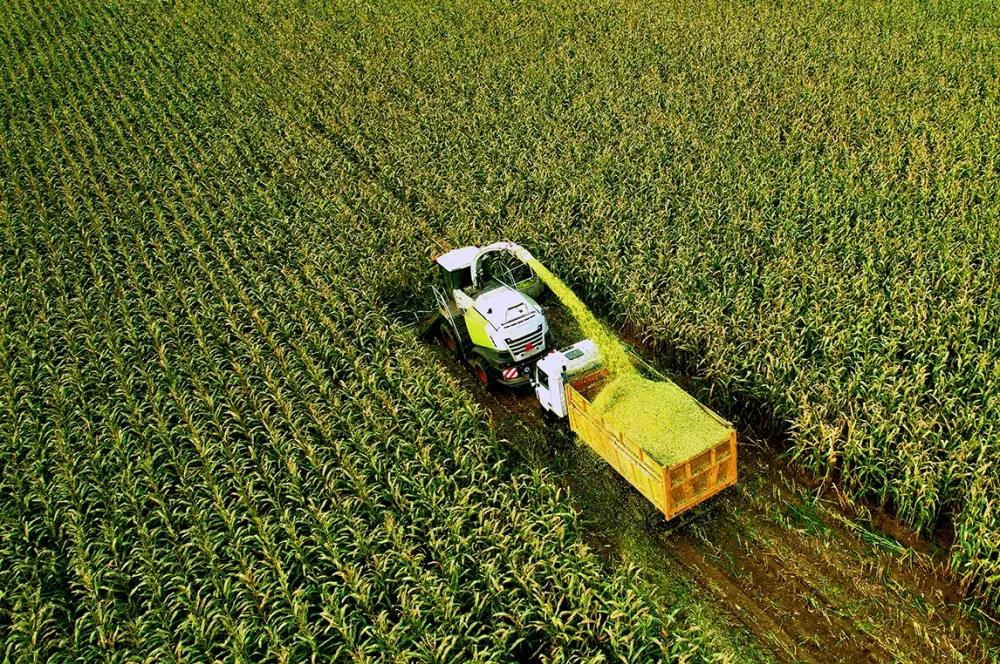 Transport de marchandise en vrac à Ollignies